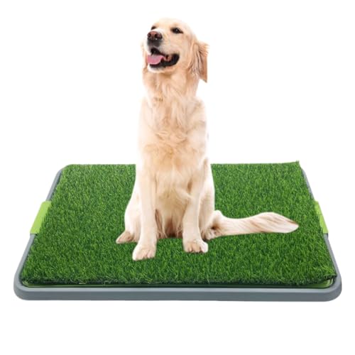 Qpets Dog Potty Training Pad 16.7x16.5 Inches Puppy Potty Pee Training Pad Realistic Lawn Dog Potty Training Pad Spill-proof Dog Potty Training Pad for Large, Medium Dogs Qpets Dog Potty Training Pad 16.7x16.5 Inches Puppy Potty Pee Training Pad Realistic Lawn Dog Potty Training Pad Spill-proof Dog Potty Training Pad for Large, Medium Dogs
